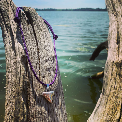 Sharks Tooth Necklace